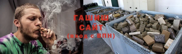 сатива Волоколамск