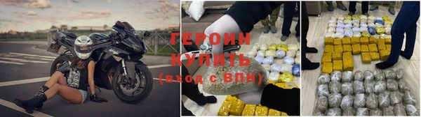 сатива Волоколамск
