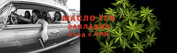 сатива Волоколамск
