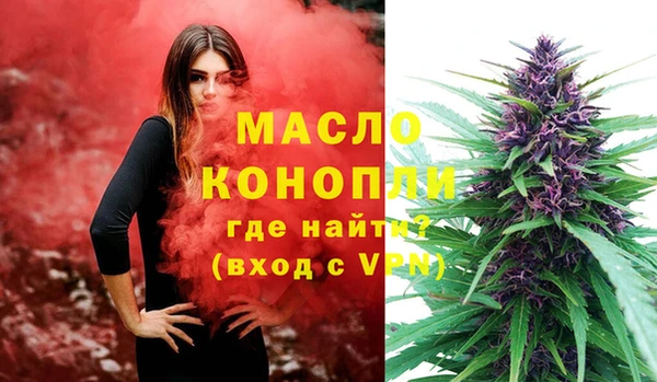 сатива Волоколамск