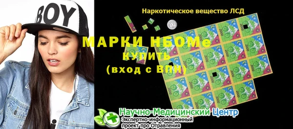 сатива Волоколамск